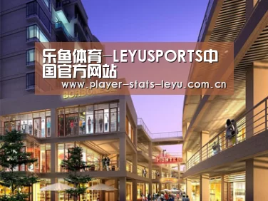 案例展示一(图1)